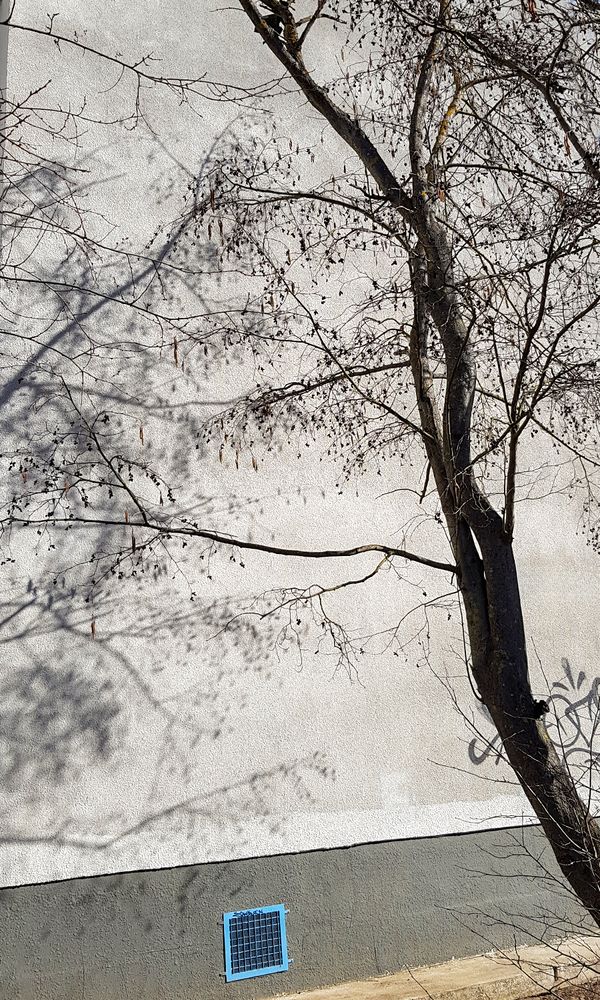Photograph by Игорь Хрусталёв