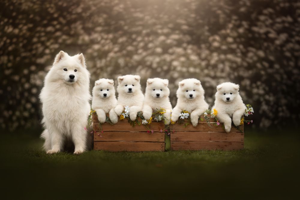 Photograph by Fleur Scholte