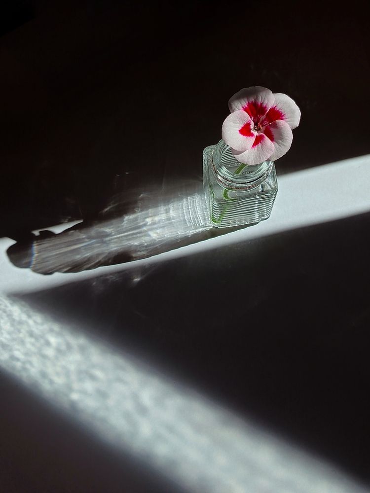 Photograph by Екатерина Зязина