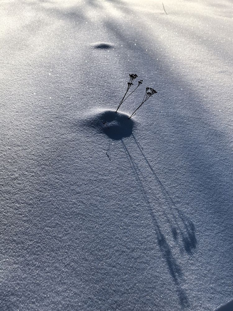 Photograph by Елена Охапкина