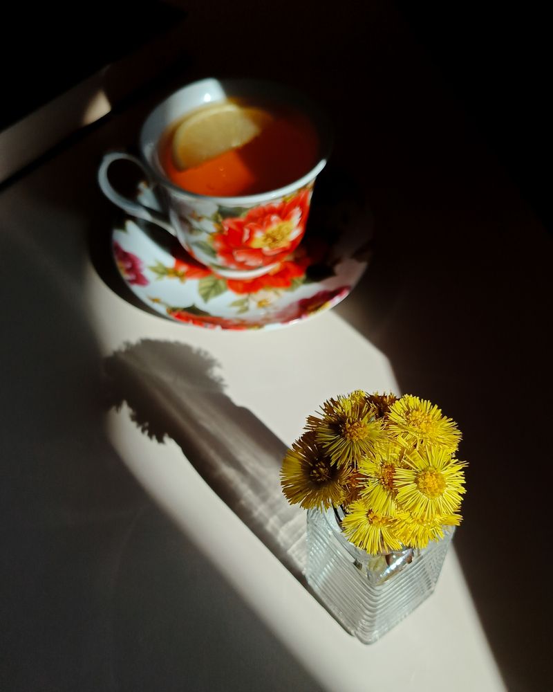 Photograph by Екатерина Зязина