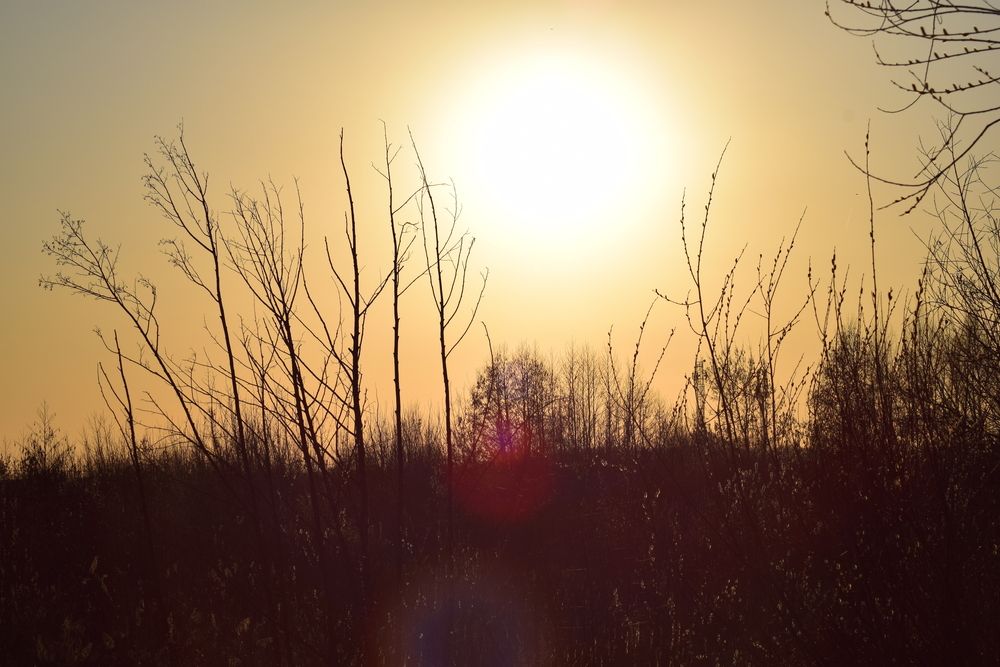 Photograph by Альбина Рамилевна