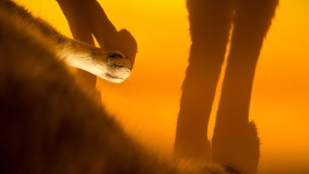 Photograph by Елена Михалева