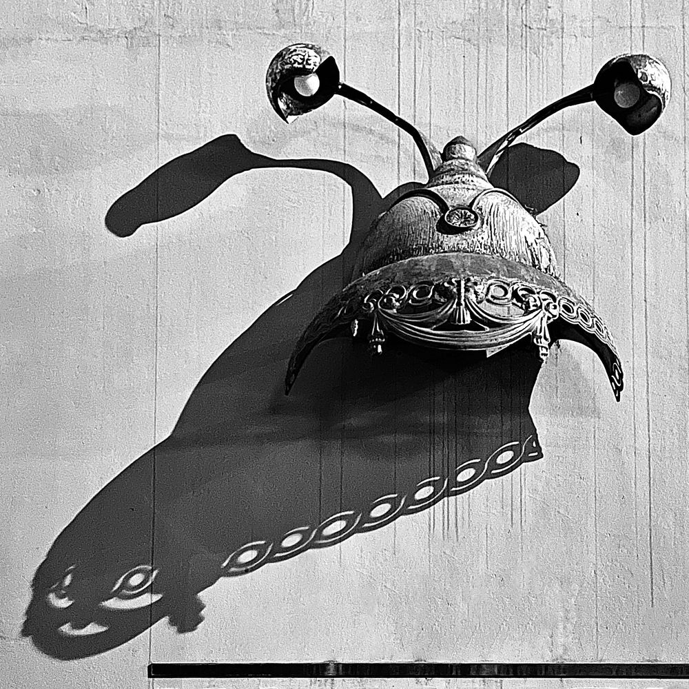 Фотография автора Olga Lyubochkina