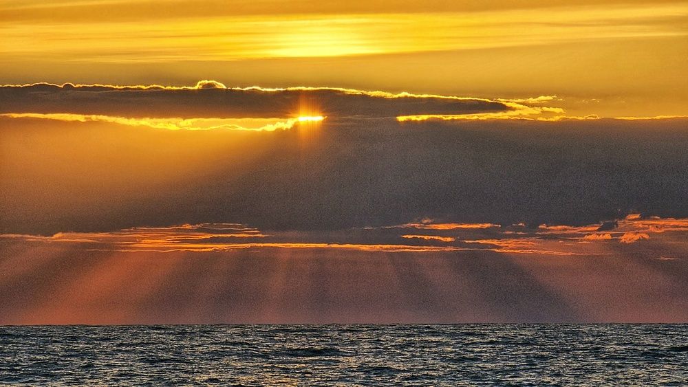 Photograph by Алексей Новиков