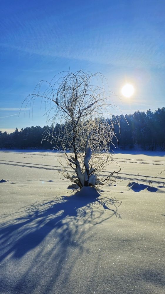 Photograph by Алексей Новиков