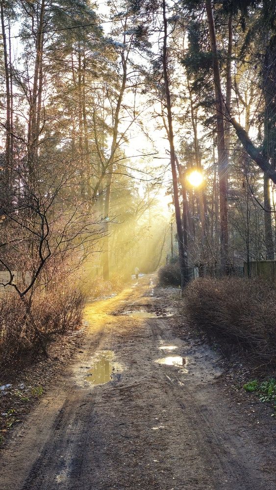 Photograph by Алексей Новиков