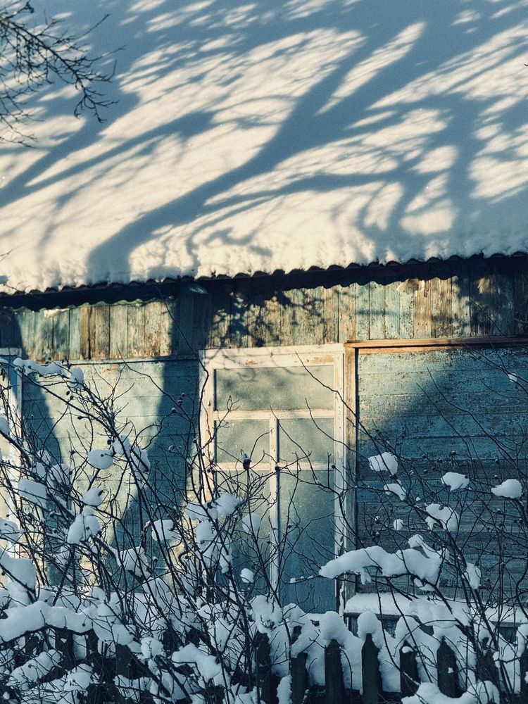 Фотография автора Светлана Долганова