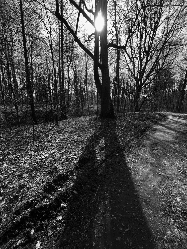 Photograph by Анатолий Протасов