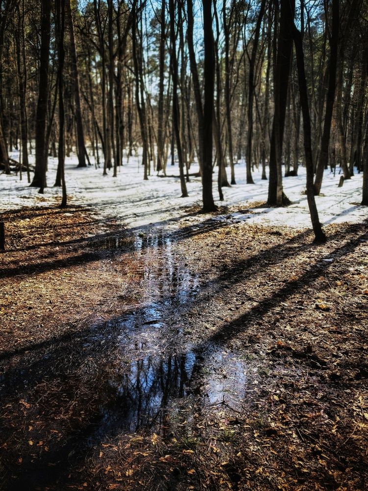 Photograph by Алла Саблина