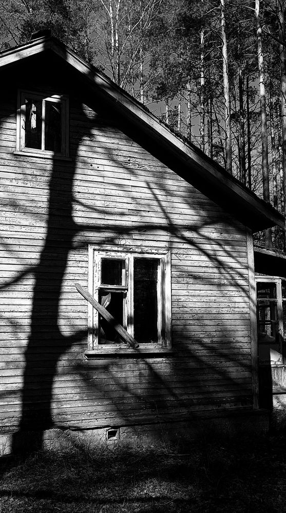 Photograph by Ольга Левакова