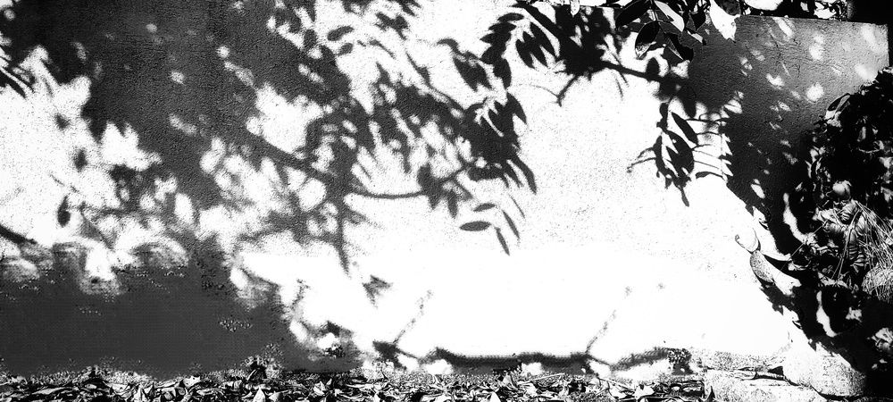 Traces