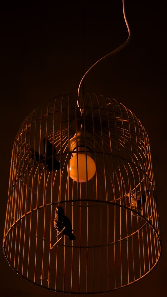 Photograph by Constantine Popov