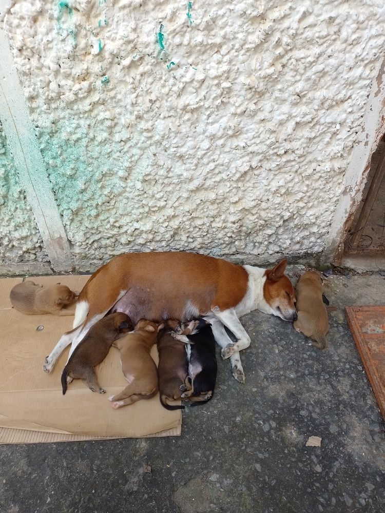 Photo #13481594