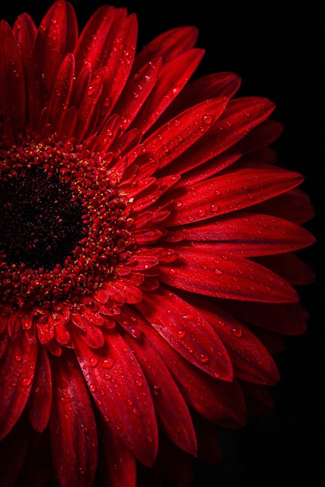 Photograph by Vesi Petrova