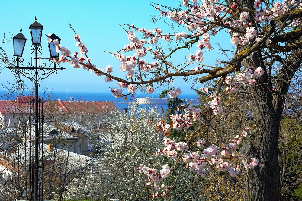 Севастополь. На Центральном городском холме