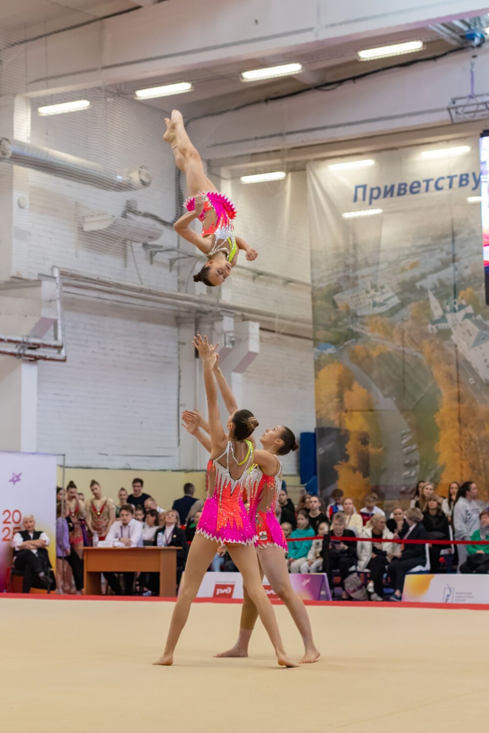 Photo #13481753