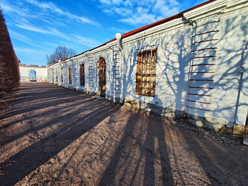 Photograph by Елена Белькова