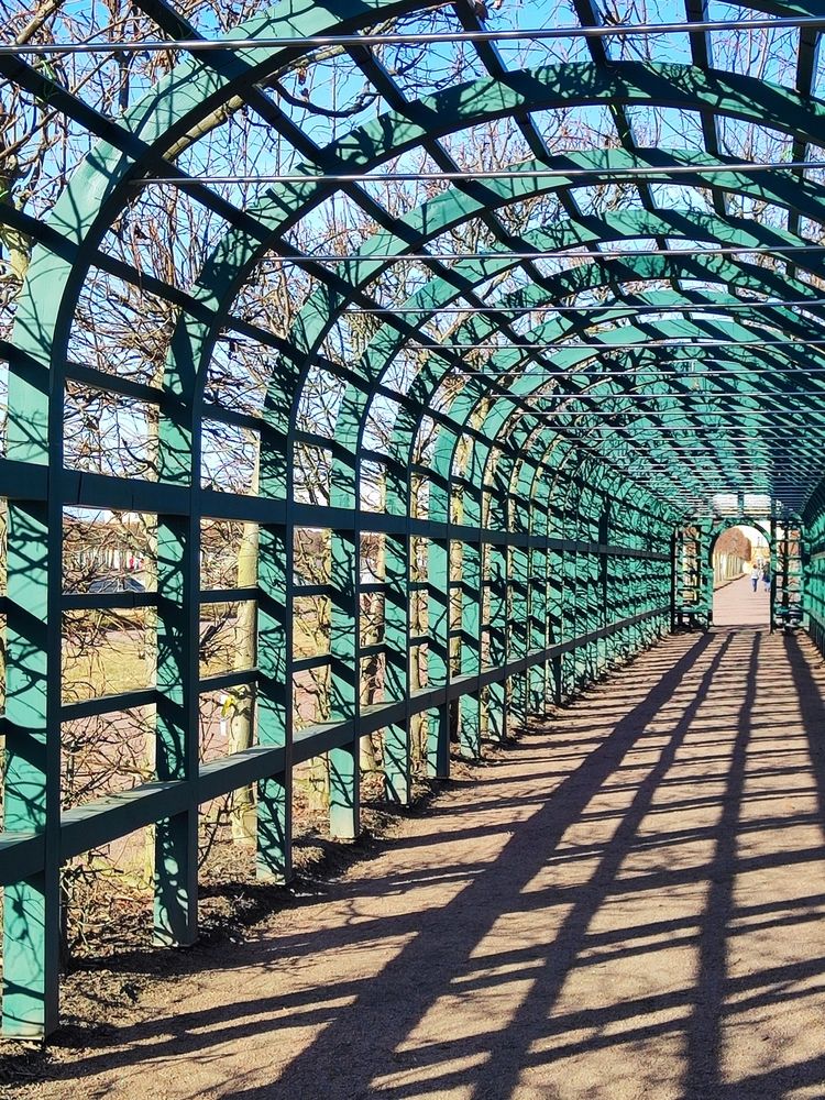 Photograph by Елена Белькова