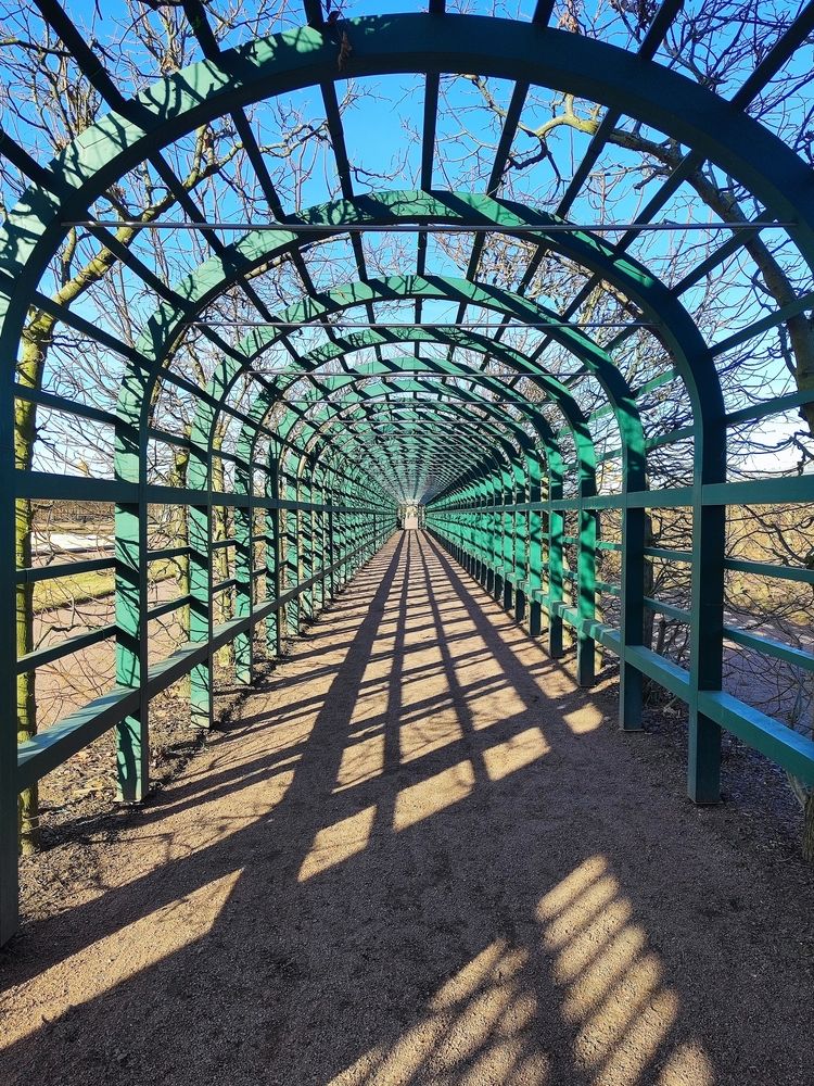 Photograph by Елена Белькова