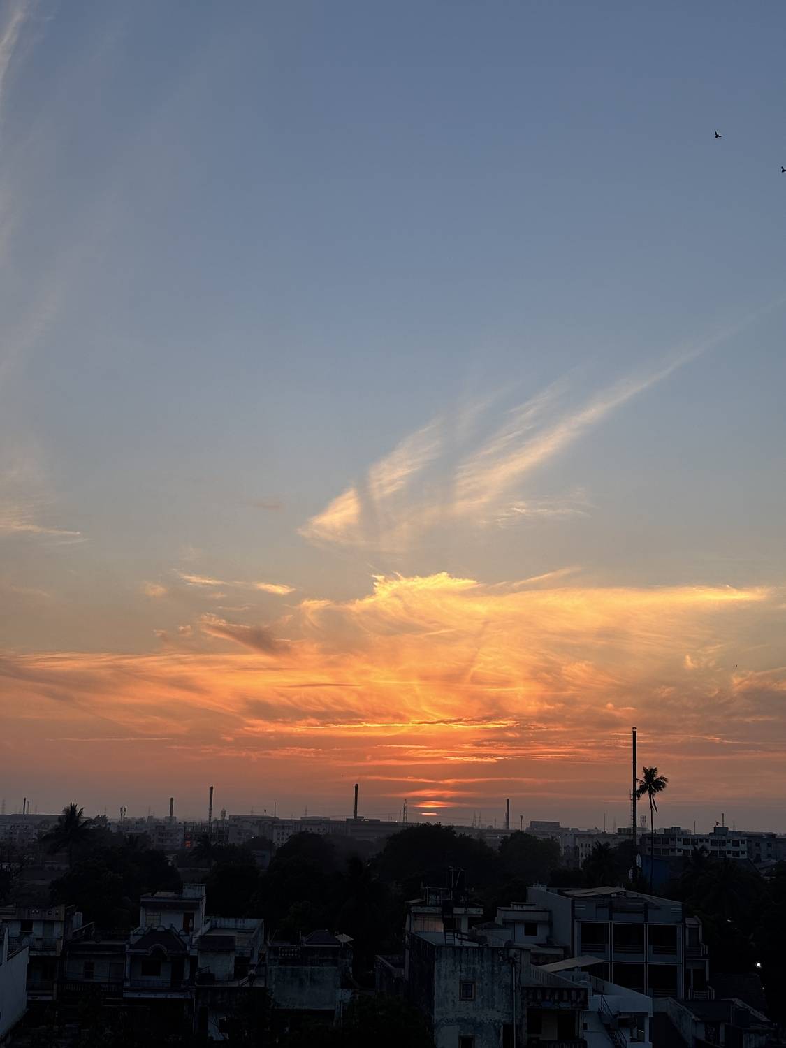 Sunsets city