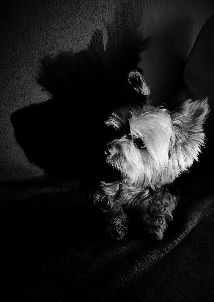 Photograph by Алена Марченко