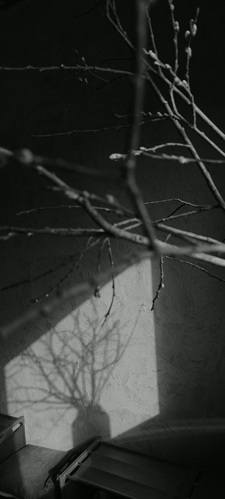 Photograph by Кристина