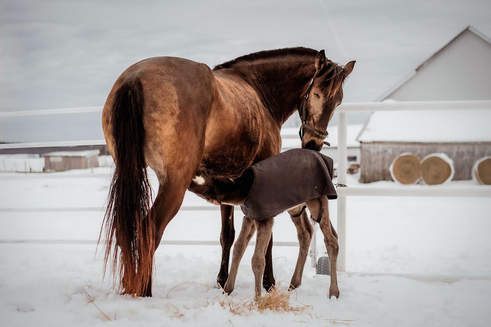 Photograph by Meilleurs Moments