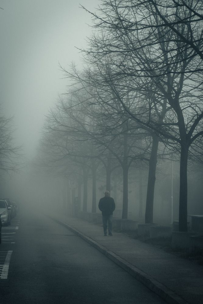 Photograph by Hamza Bajgorić