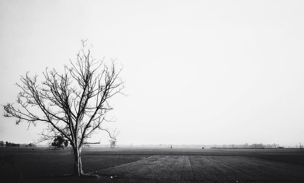 Hushed