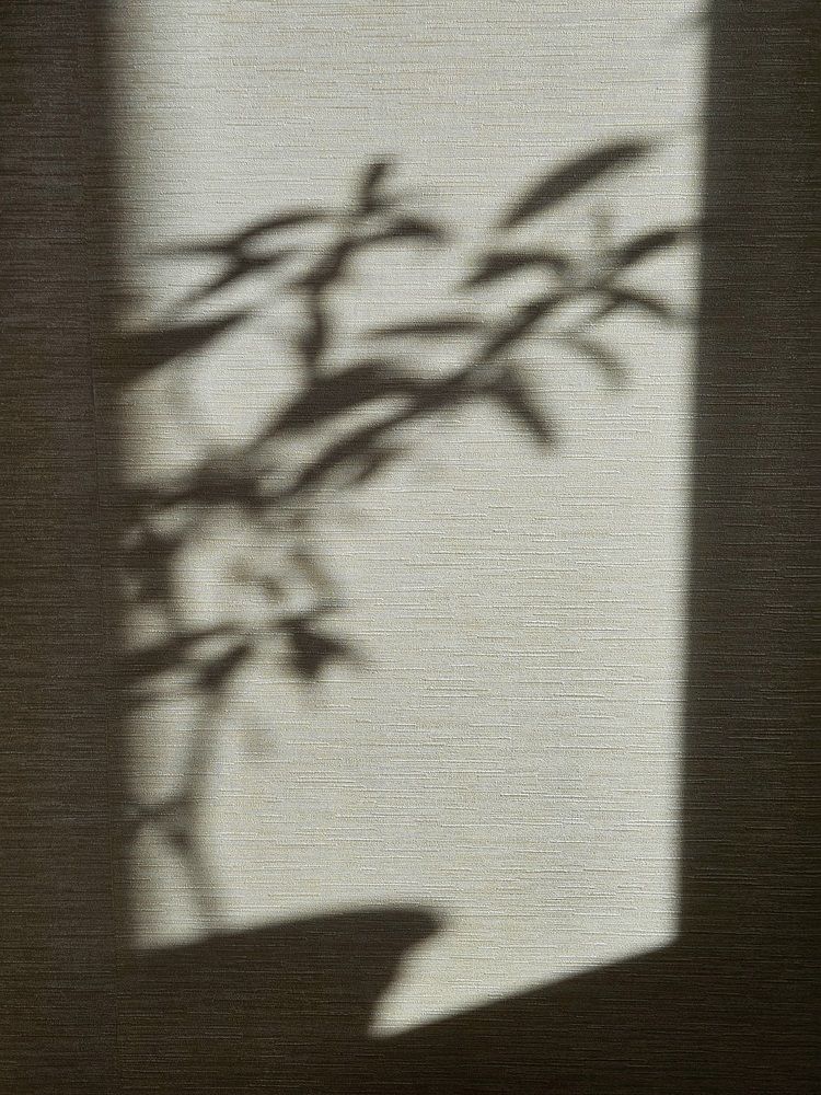 Photograph by Наталья Трефилова