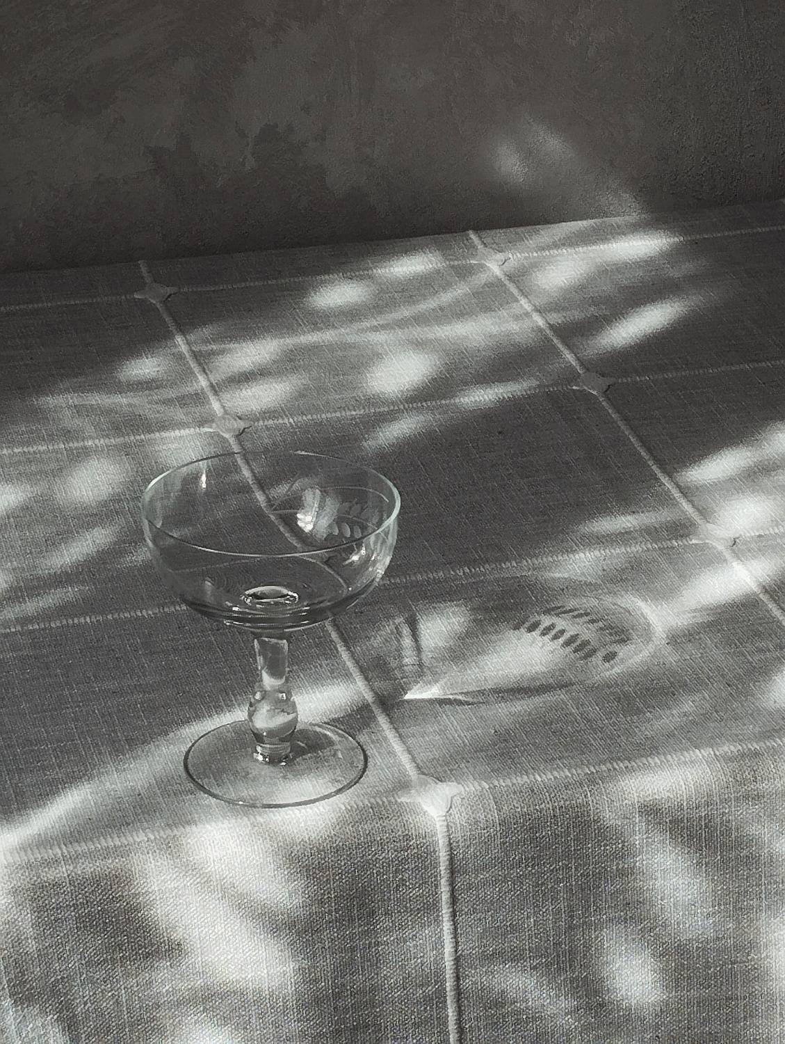 Фотография #13482233