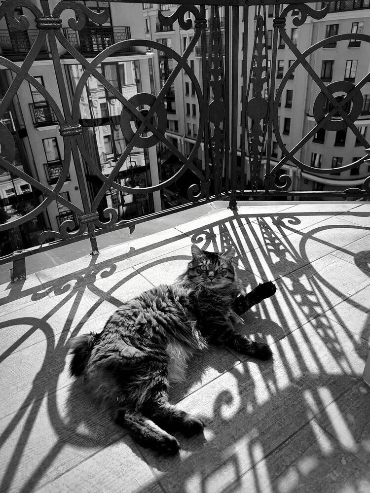 Photograph by Nikitin Igor