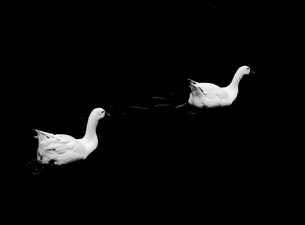 Photograph by Андрей Безгин