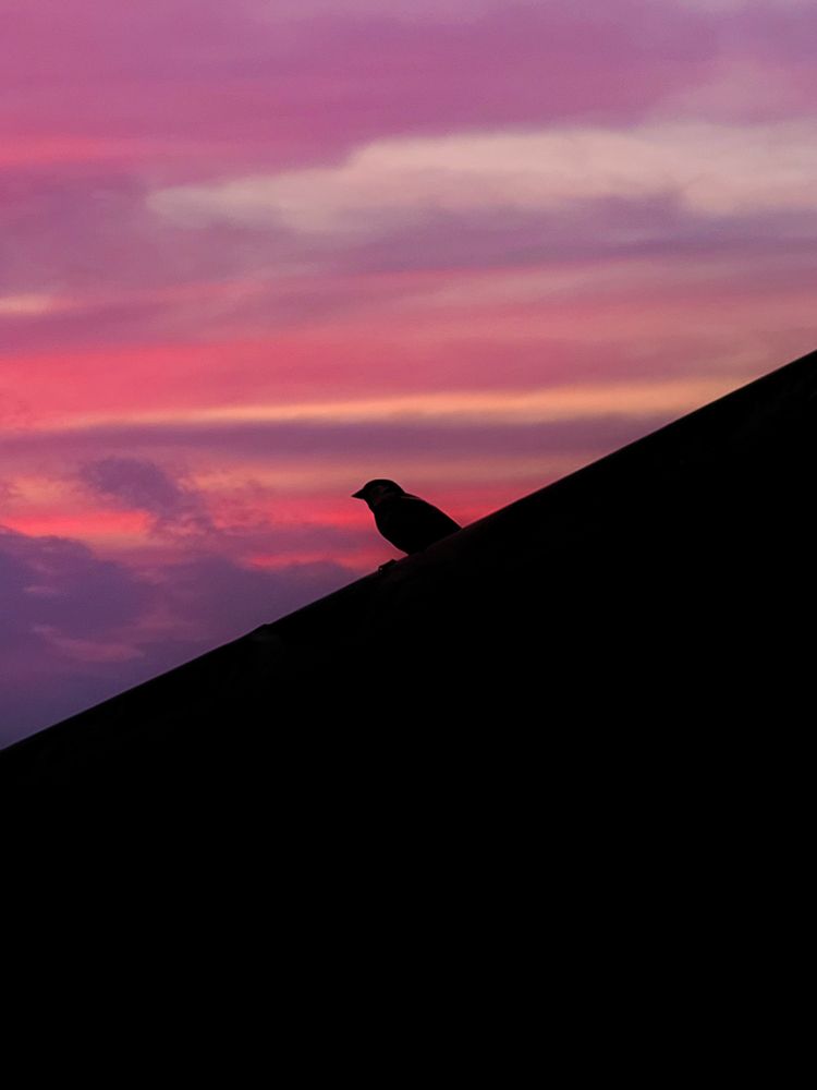 Photograph by Sumitava Chowdhury