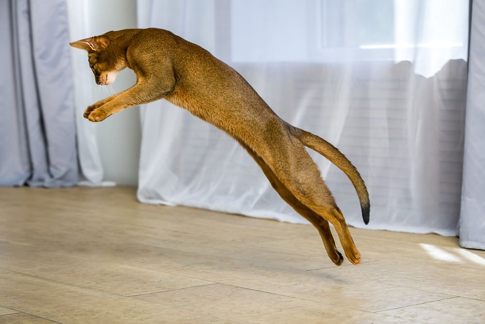 Photograph by Дмитрий Алабугин