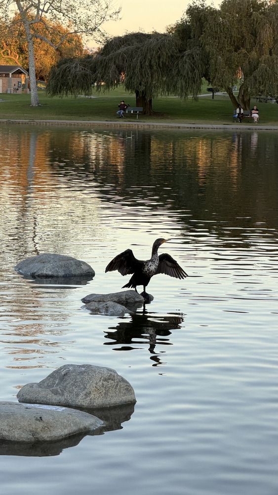Photograph by Stanislav Khara