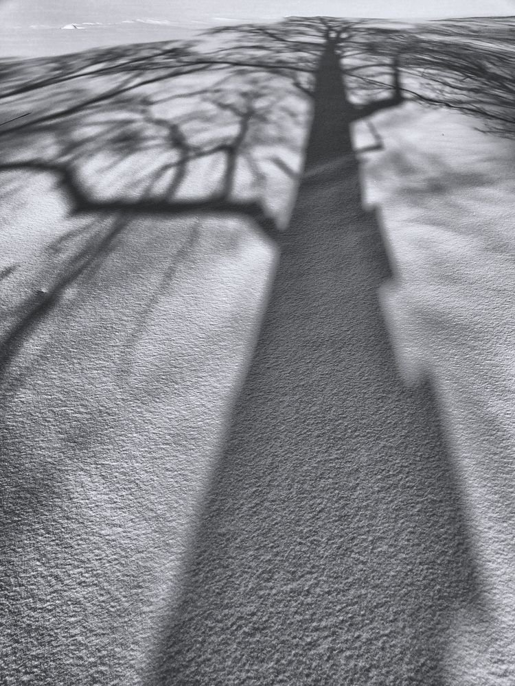 Photograph by Галина Юдина