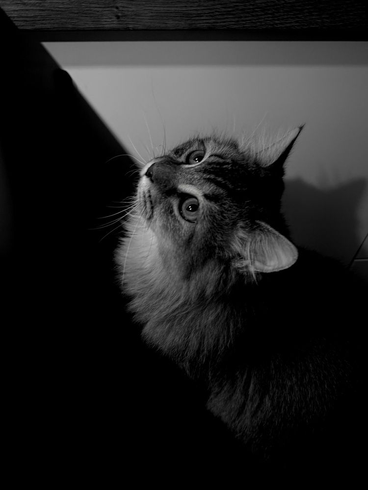 Photograph by Маргарита Лаптева