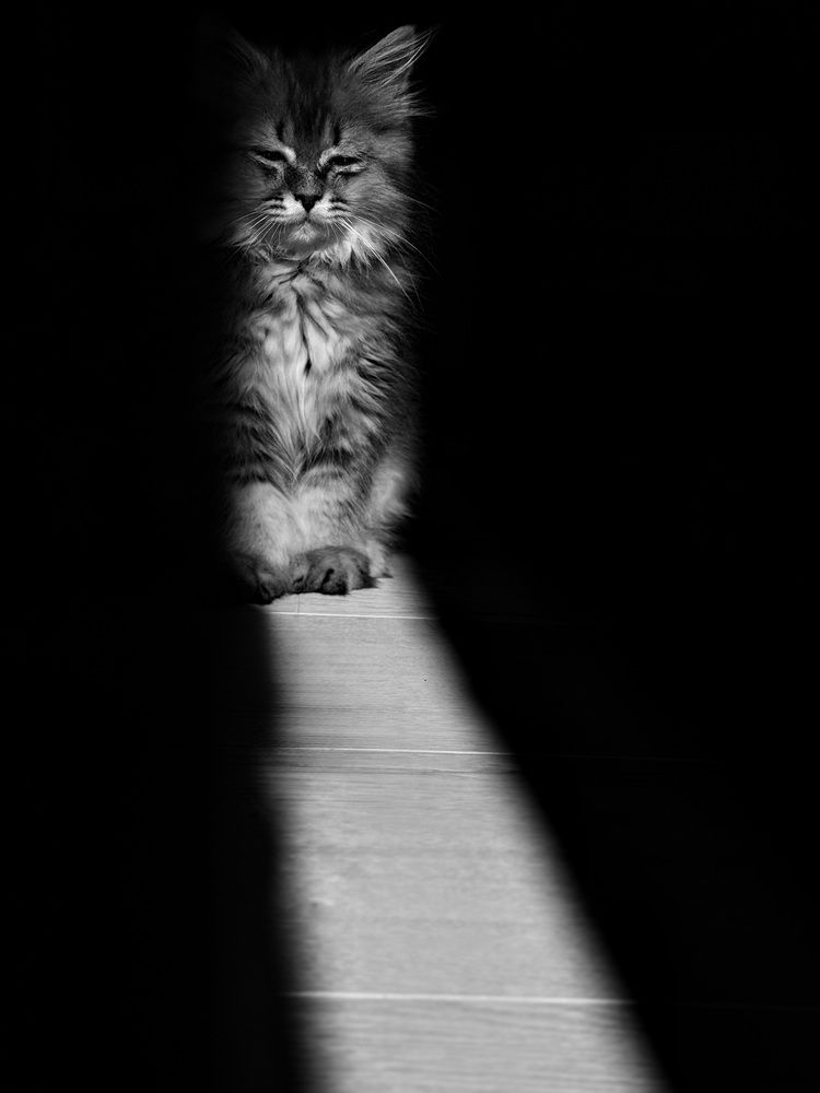 Photograph by Маргарита Лаптева