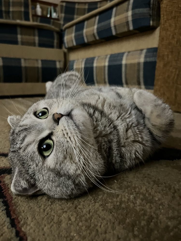 Photograph by Ольга Миронова