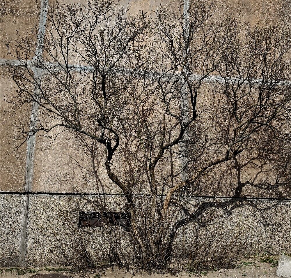 Photograph by jelena konickaja