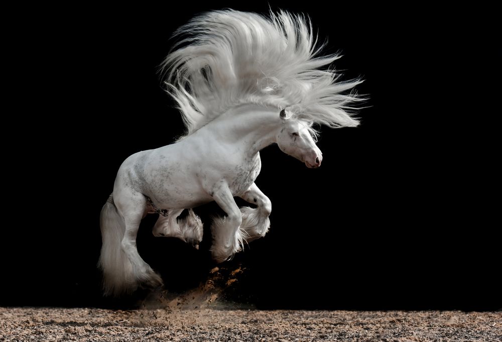 Photograph by Валерия Заноска