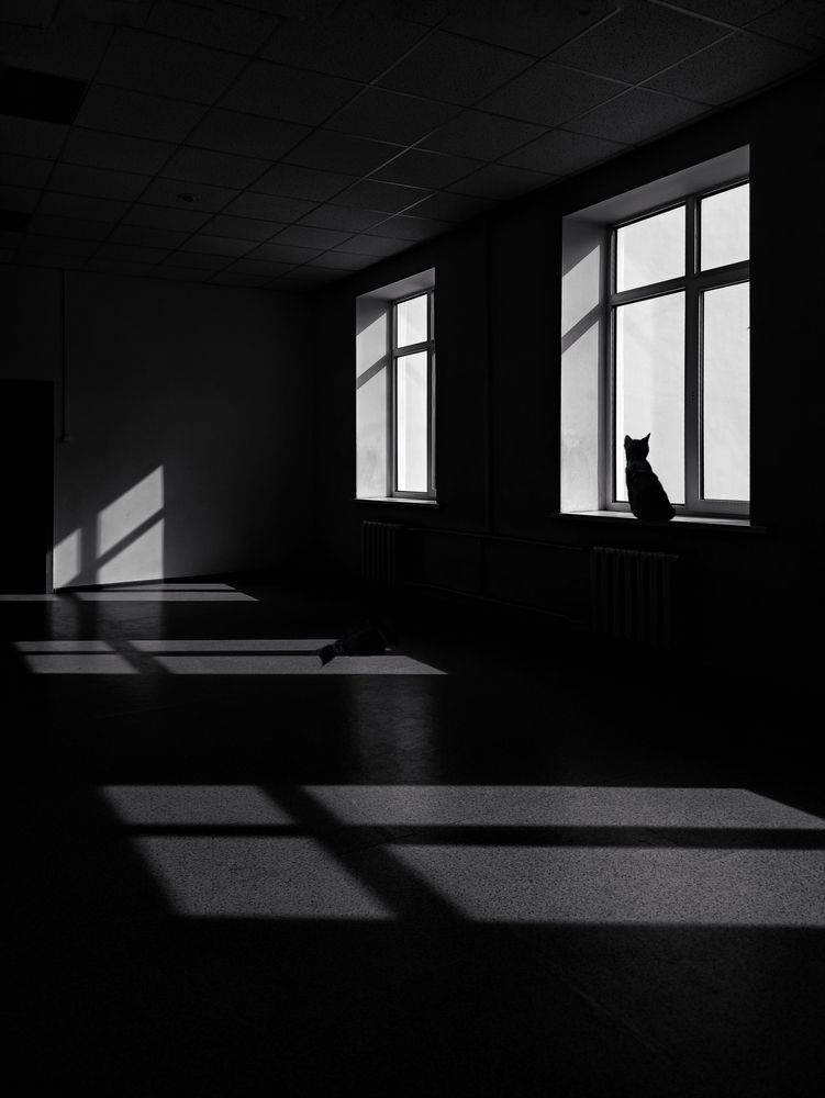 Photograph by Elena Bogomolova