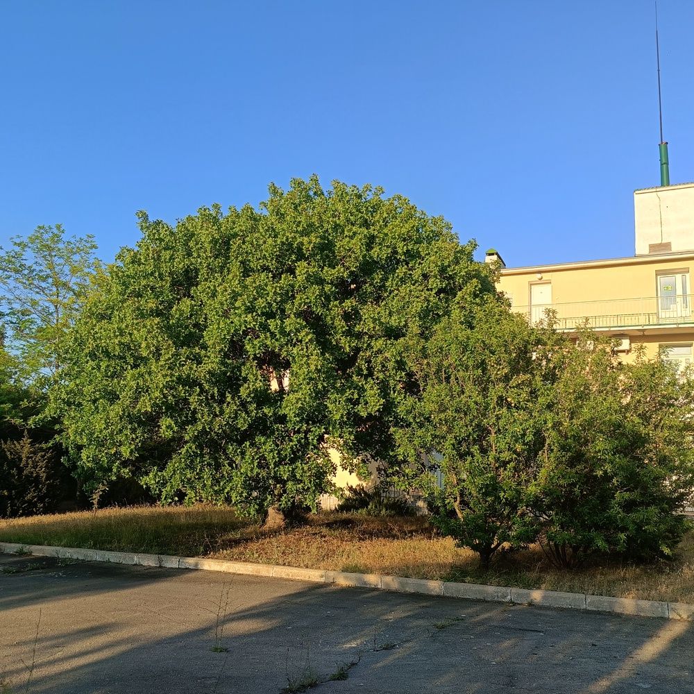 Photograph by Сергей Борисов