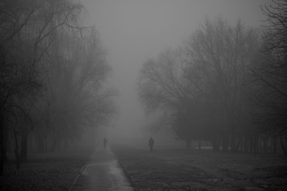 Photo #13483051