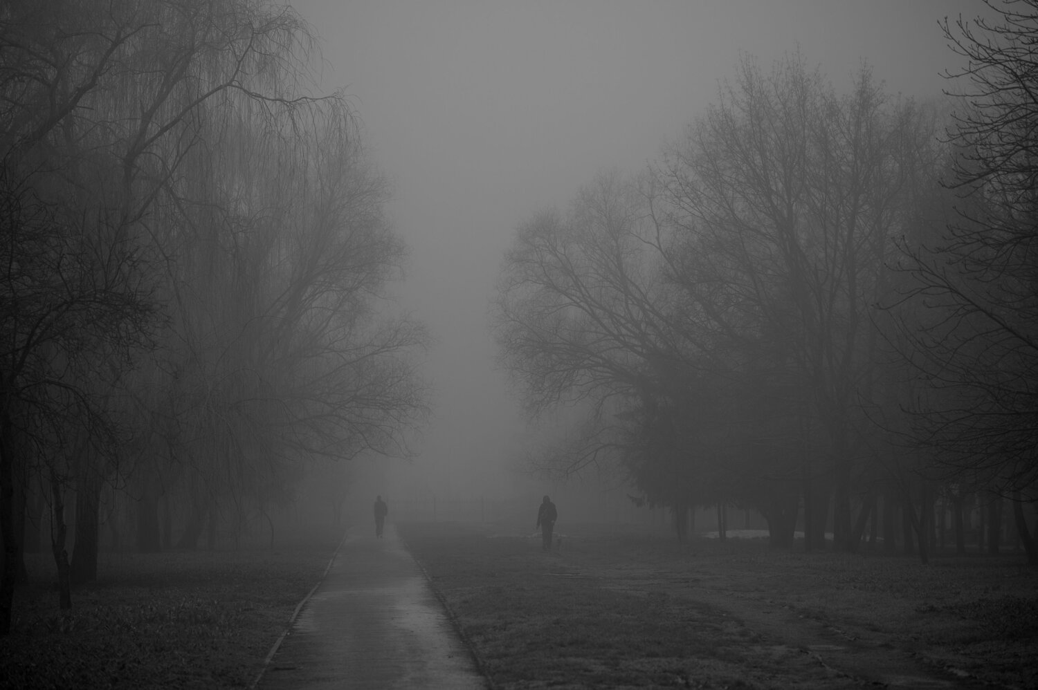 Photo #13483051