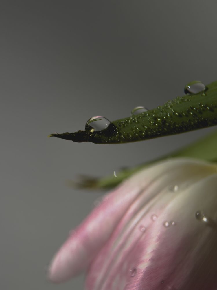 Photograph by Ксения Литвиненко