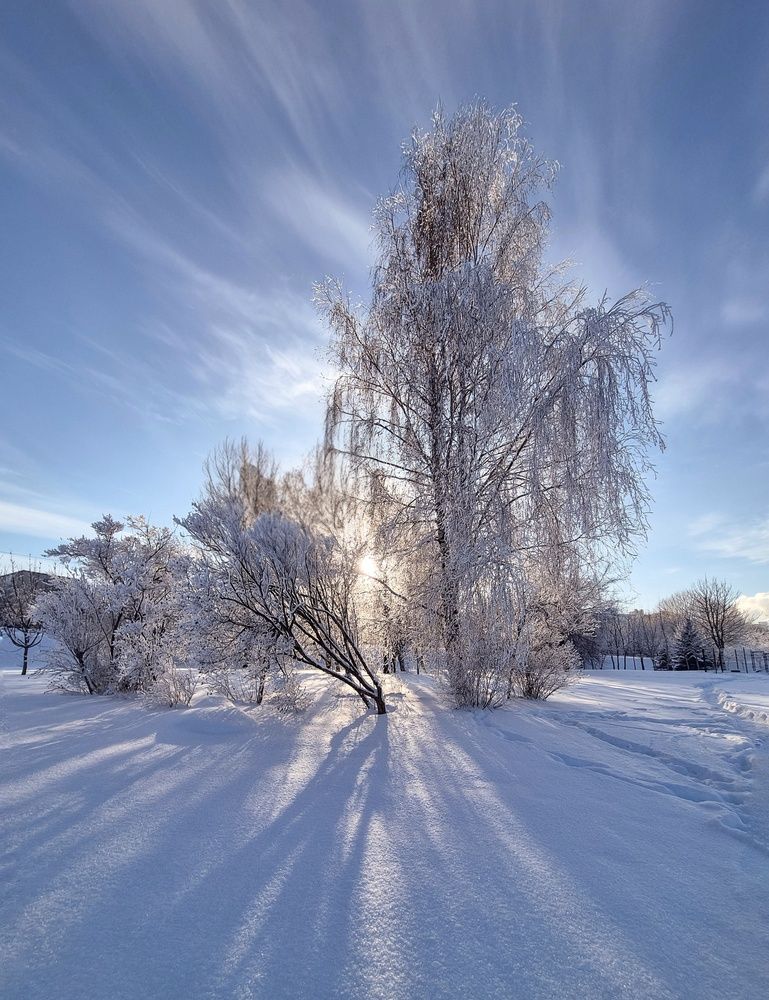 Фотография автора Татьяна Вирясова
