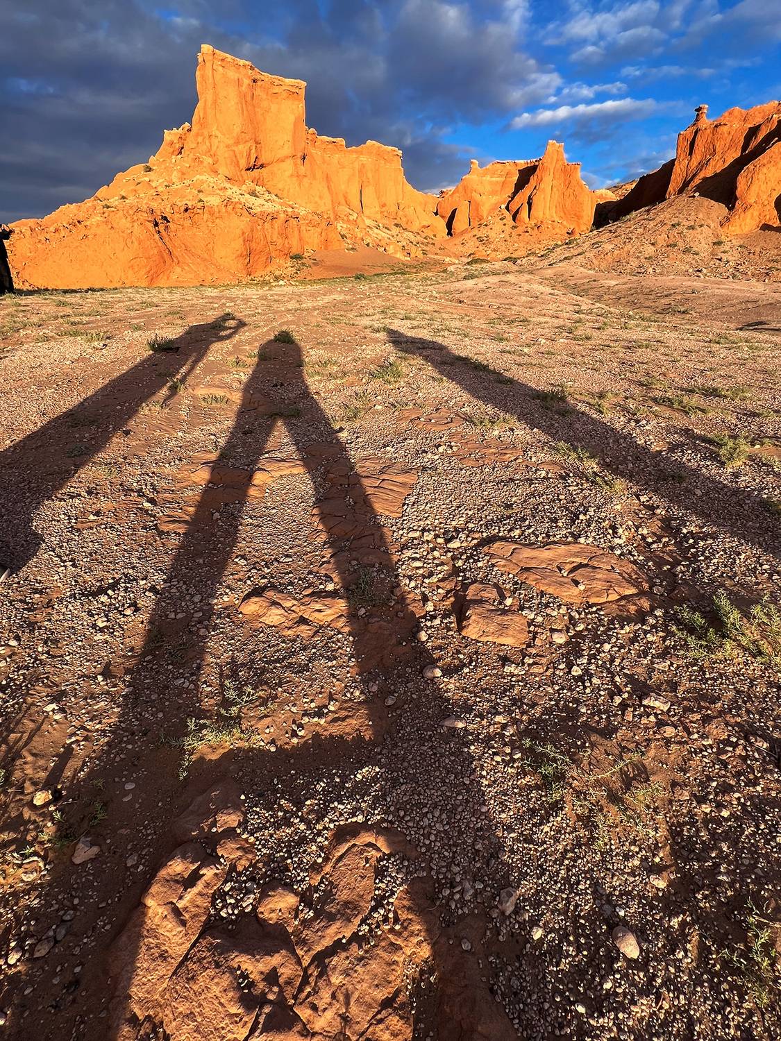 Фотография #13483185